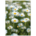 d19d19c5-7b6c-4029-a328-8c3b0779c6d2