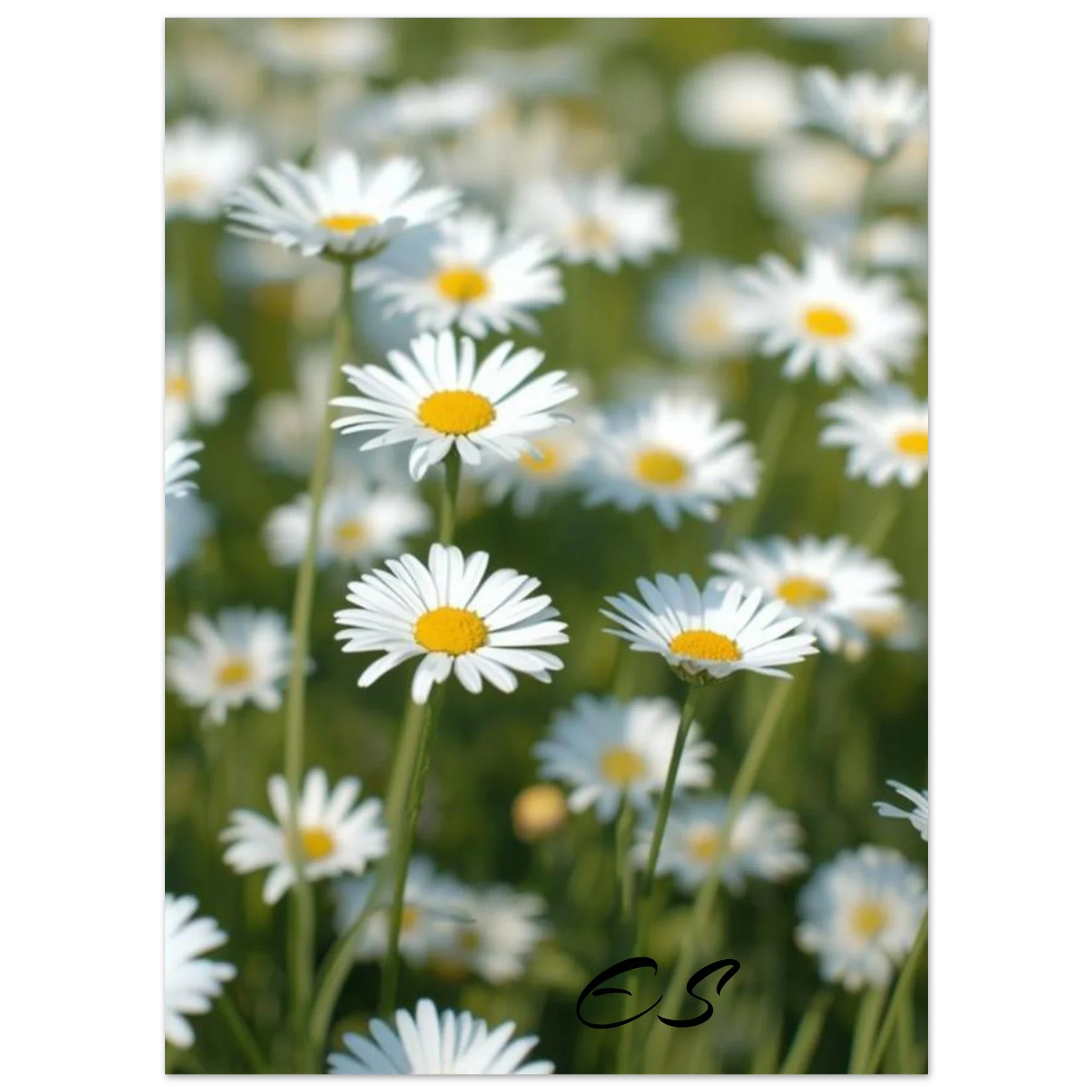 d19d19c5-7b6c-4029-a328-8c3b0779c6d2