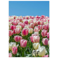 e4902770-cf66-4c19-ae47-30216f1e52c9