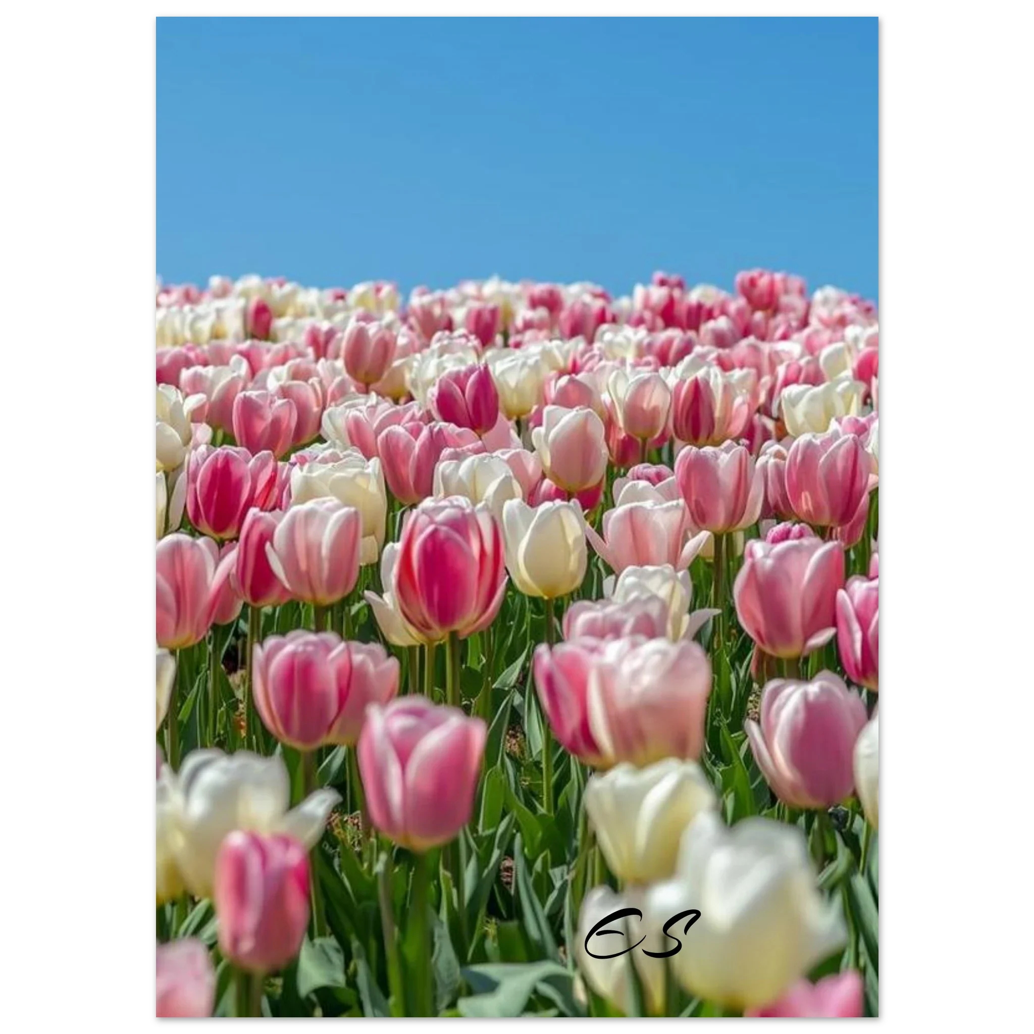 e4902770-cf66-4c19-ae47-30216f1e52c9